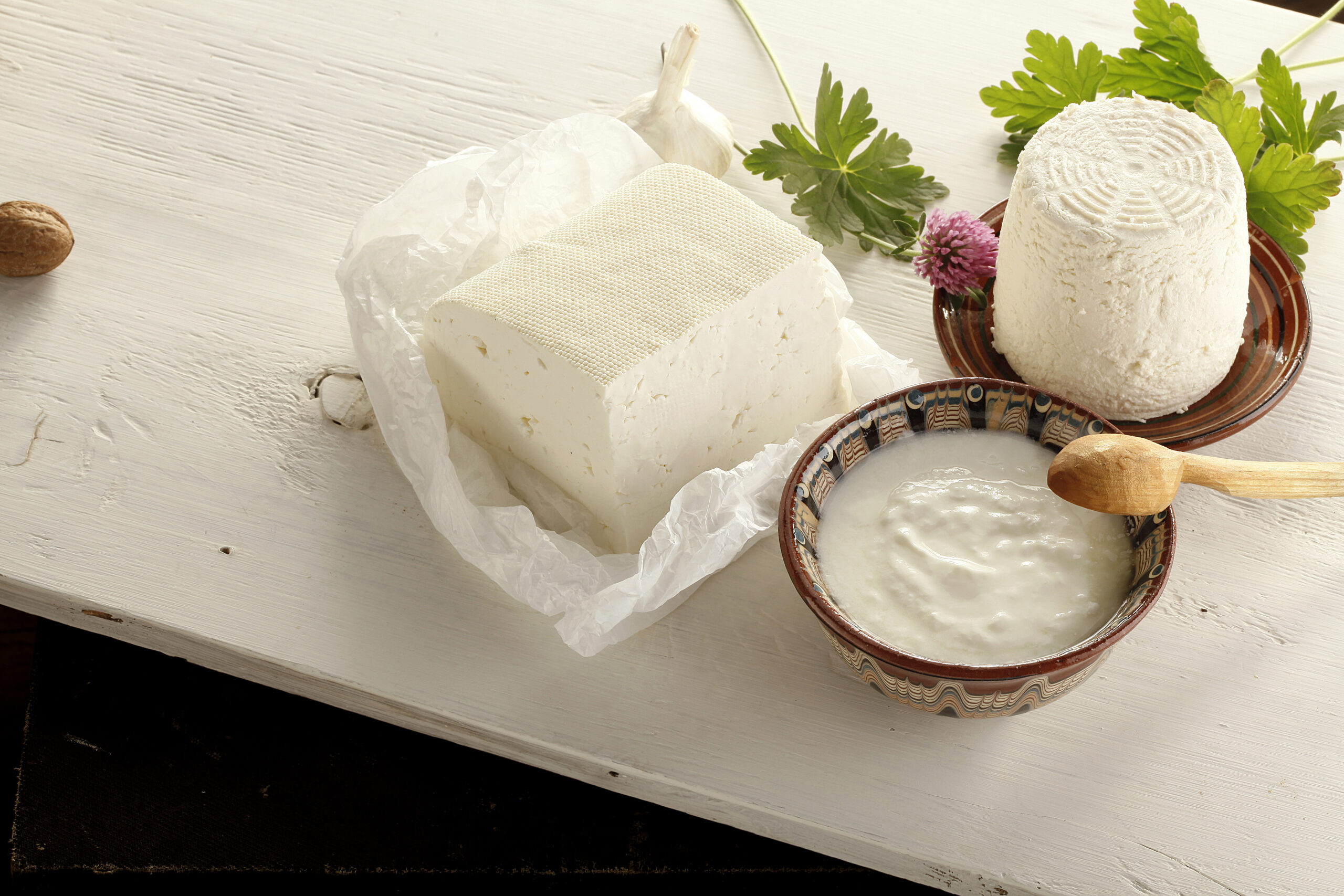 Traditional Bulgarian Cheese and Yogurt. Source: AdobeStock